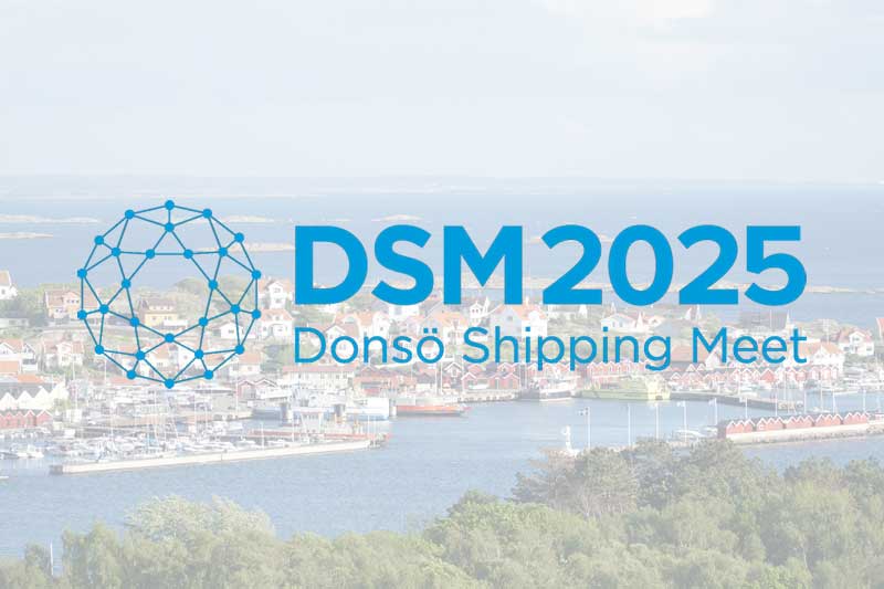 DSM2025